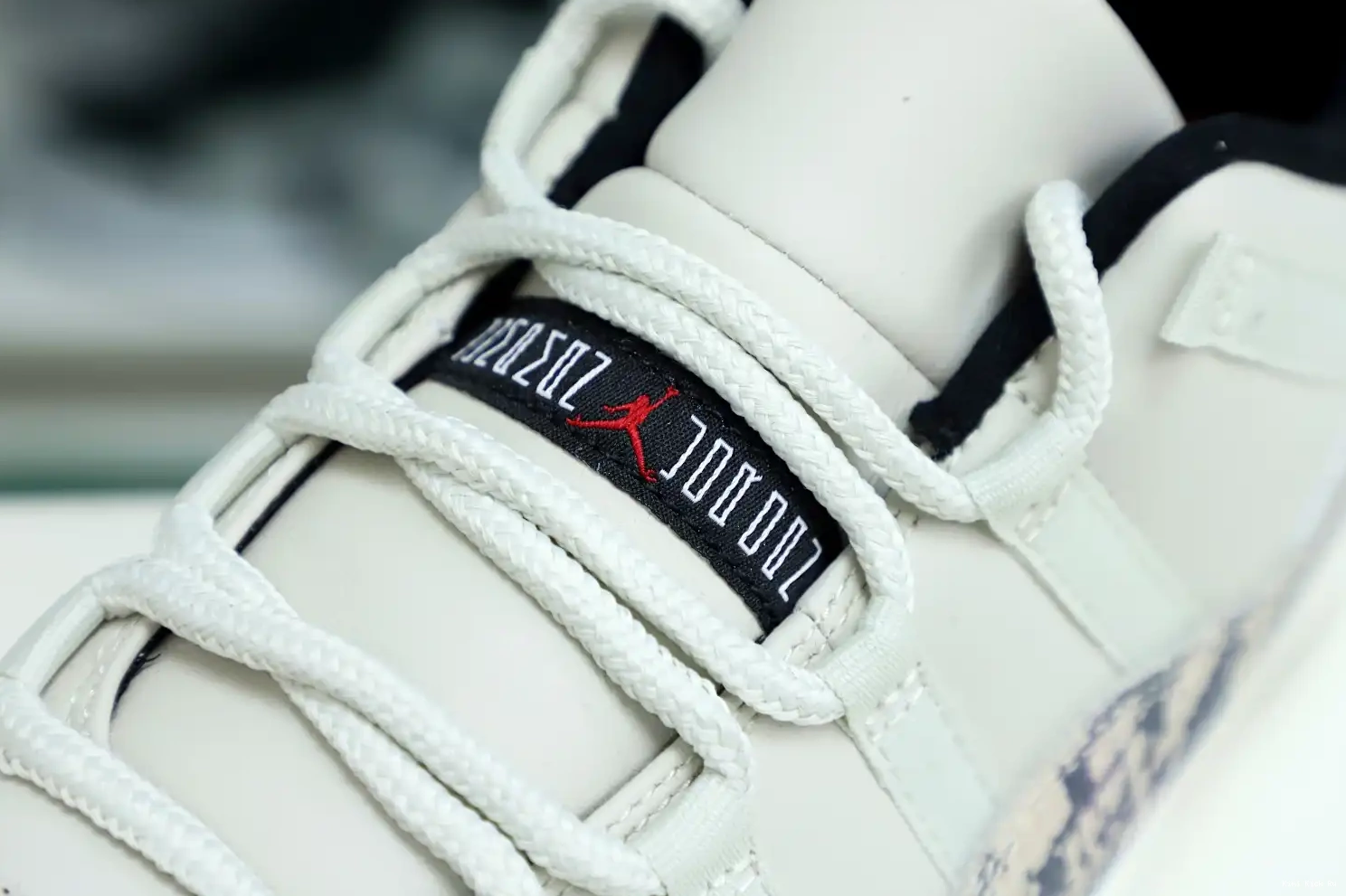 AIR 11 JORDAN LIGHT LOW SNAKESKIN Kimikick BONE 0720